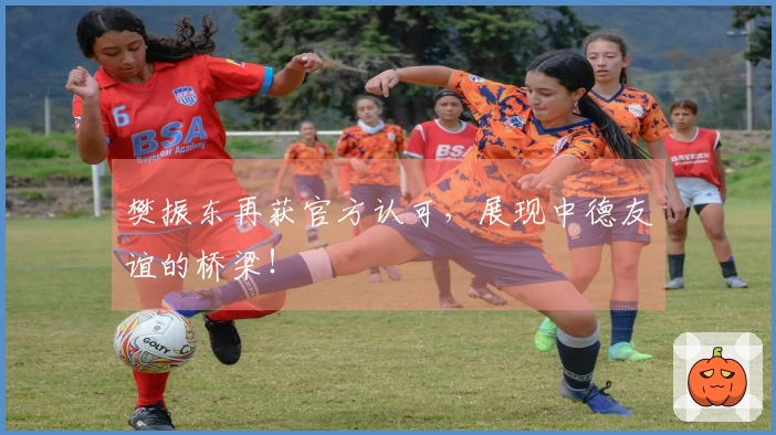 樊振东再获官方认可，展现中德友谊的桥梁！